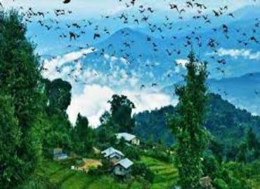 Nature Lover Homestay -Sittong Homestay